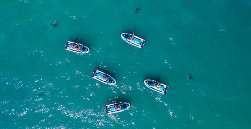 Airlie Beach: Airlie Adventure Jet Ski Tour - Key Points