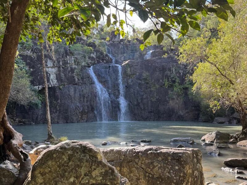 Airlie Beach: Cedar Creek Express Eco Tour - An Honest Look at the Cedar Creek Eco Experience