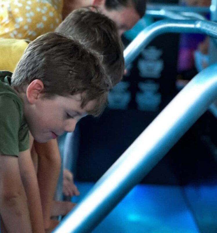 Airlie Beach: Glass-Bottom Boat Night Tour - A Closer Look at the Glass-Bottom Boat Night Tour