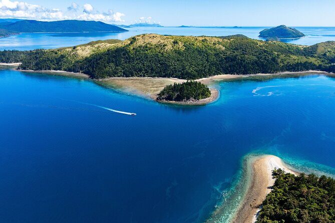 Airlie Beach Glass Bottom Boat Tour - Final Word