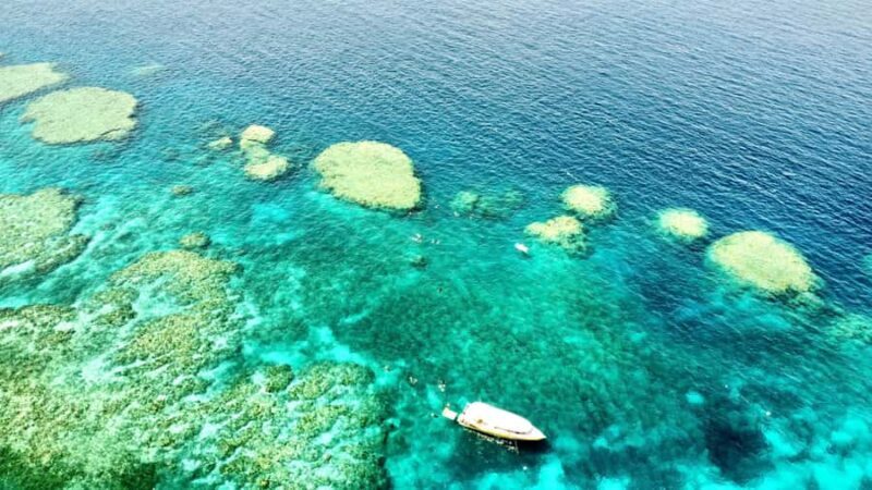 Airlie Beach: Great Barrier Reef & Whitehaven Beach Tour - An In-Depth Look at the Tour Experience