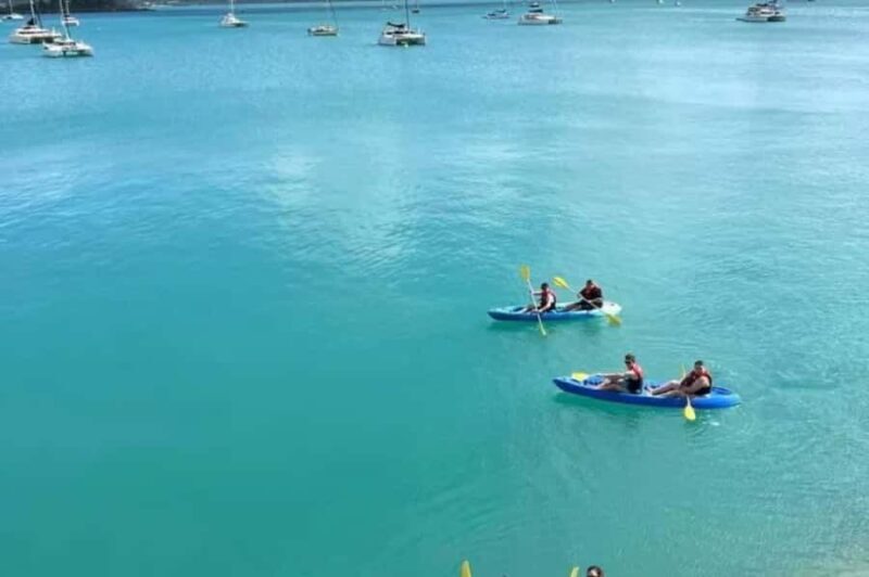 Airlie Beach: Half Day Turtle Tour Sea Kayaking Adventure - Starting Point and the Paddle