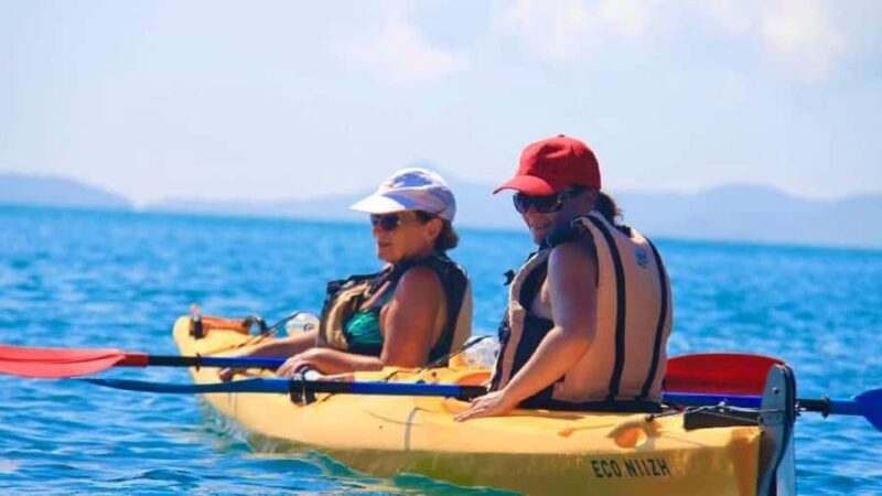 Airlie Beach: Half Day Turtle Tour Sea Kayaking Adventure - Stops and Breaks