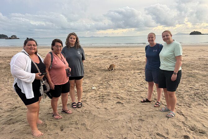 Airlie Beach: Kangaroos on the beach at dawn. - Frequently Asked Questions