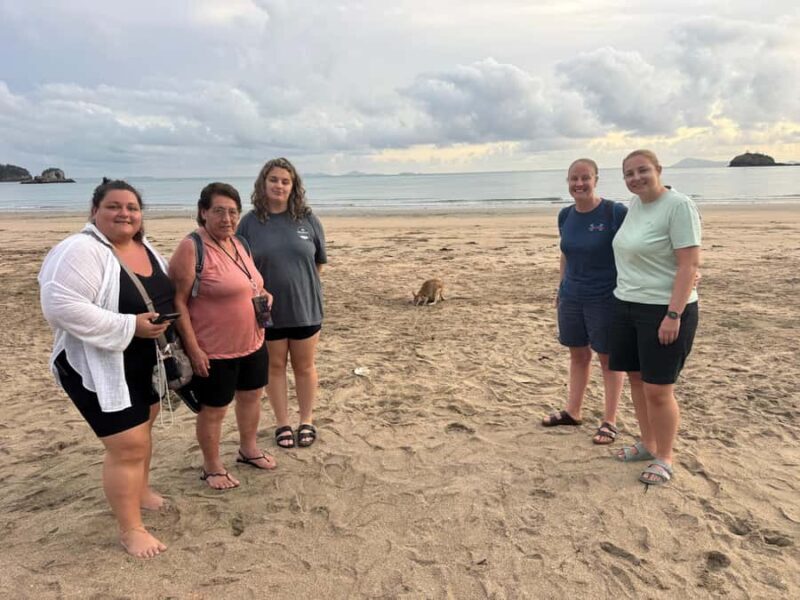 Airlie Beach: Kangaroos on the Beach at Dawn - FAQ