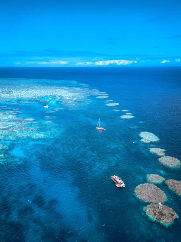 Airlie Beach: Outer Great Barrier Reef Snorkeling Day Trip - Who Will Love This Tour?