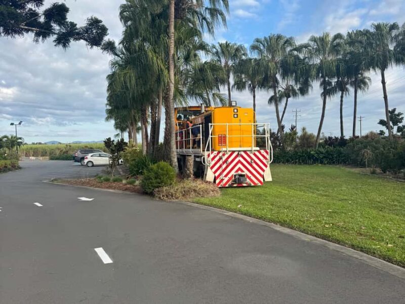 Airlie Beach: Sightseeing Bus Tour - A Well-Rounded Introduction to Airlie Beach and the Whitsundays