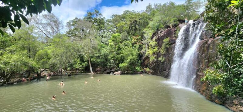 Airlie Beach: Waterfall & Rainforest Bushwalk Eco Adventure - A Closer Look at the Experience