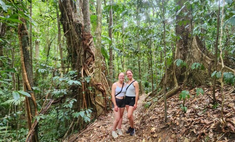 Airlie Beach: Waterfall & Rainforest Bushwalk Eco Adventure - Detailed Breakdown of the Itinerary