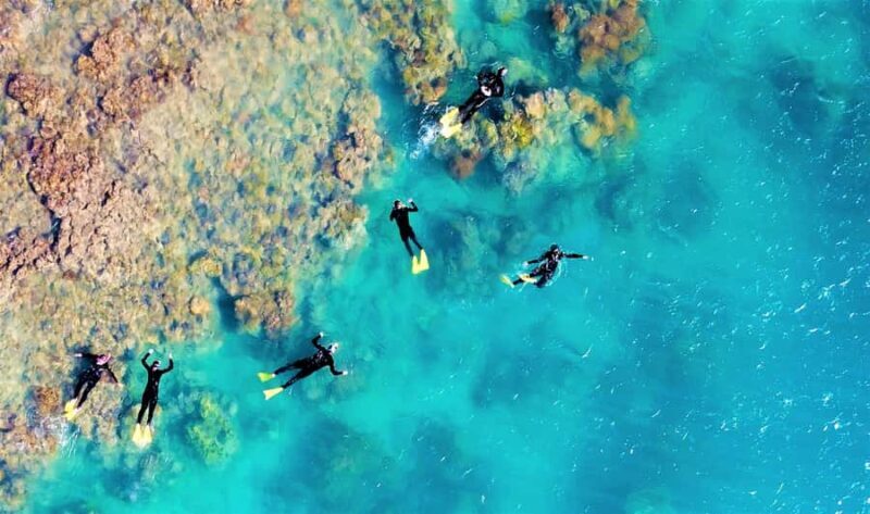 Airlie Beach: Whitehaven Beach Club - A Deep Dive into the Experience