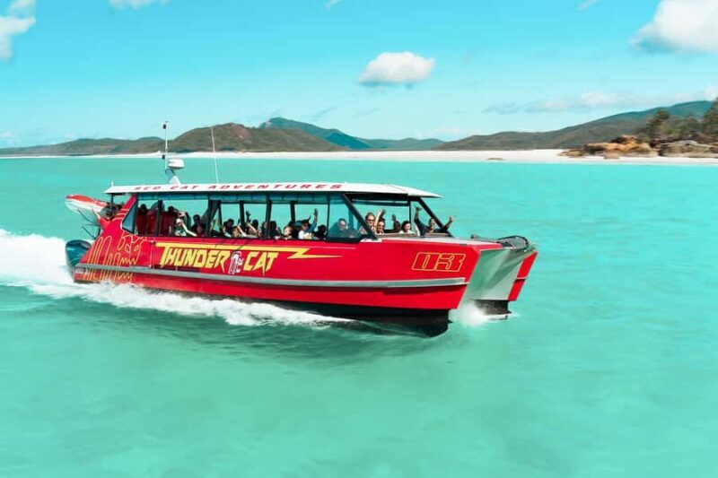 Airlie Beach: Whitehaven Full-Day Eco-Cruise with Buffet - Key Points