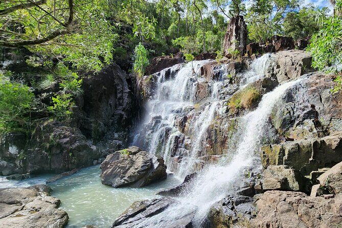 Airlie Waterfalls & Rainforest Bushwalk Eco Adventure - The Authentic Experience: What Travelers Say