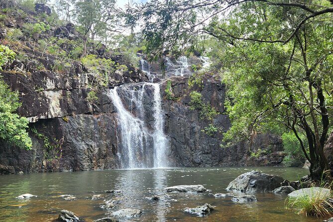 Airlie Waterfalls & Rainforest Bushwalk Eco Adventure - Transportation and Duration: Why They Matter
