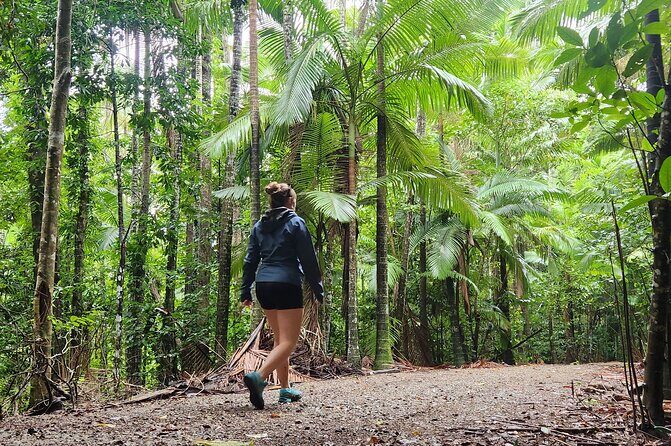 Airlie Waterfalls & Rainforest Bushwalk Eco Adventure - Final Thoughts: Is It Worth It?