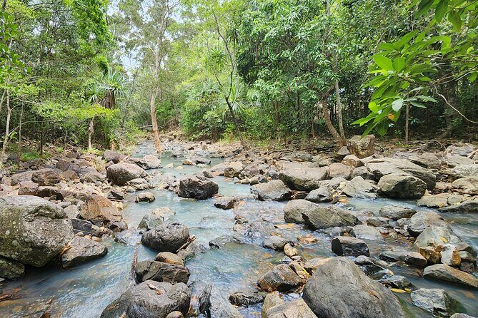 Airlie Waterfalls & Rainforest Bushwalk Eco Adventure - FAQs