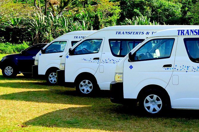 Airport Departure Transfer - From Port Vila Hotel - What to Expect from This Transfer Service
