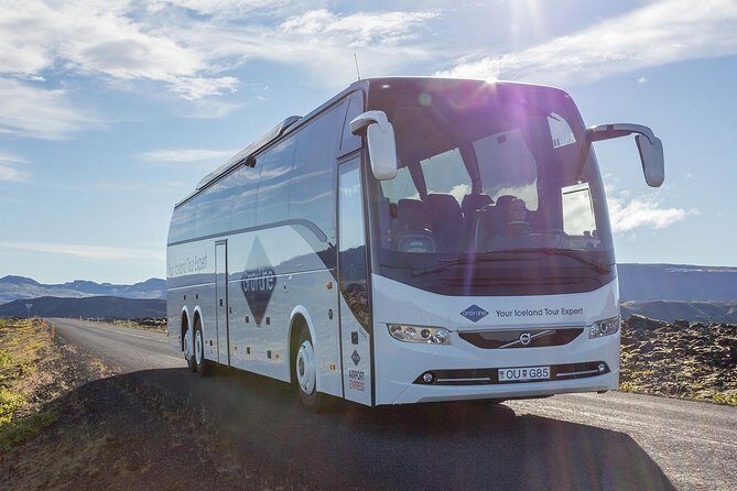 Airport Express Shared Arrival Transfer from Keflavik Airport to Reykjavik City - Booking and Arrival