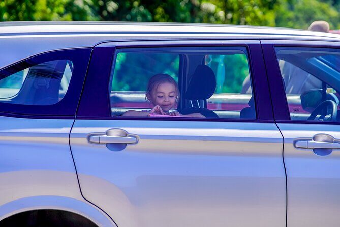 Airport Pickup in Puerto Vallarta: Private Round Trip of 22km - The Sum Up