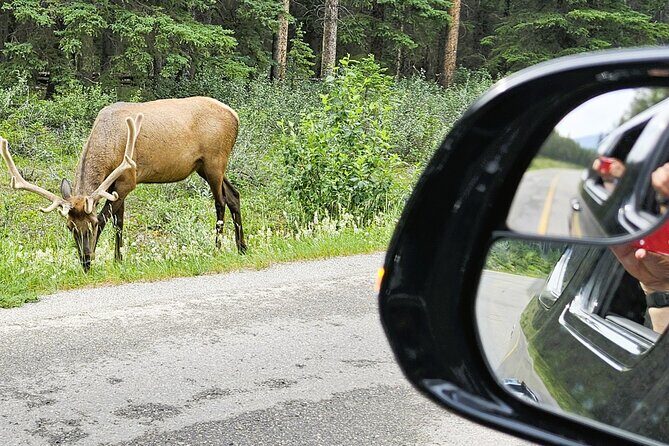 Airport Pickup & Private Tour from Calgary to The Rockies! - The Sum Up