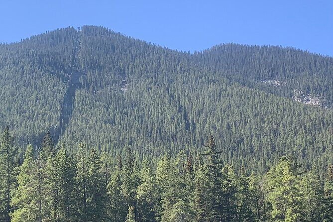 Airport Shuttle: Banff  Calgary - Practical Tips for Making the Most of Your Transfer