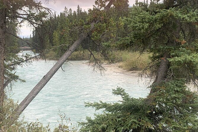 Airport Shuttle: Lake Louise  Calgary - Final Thoughts