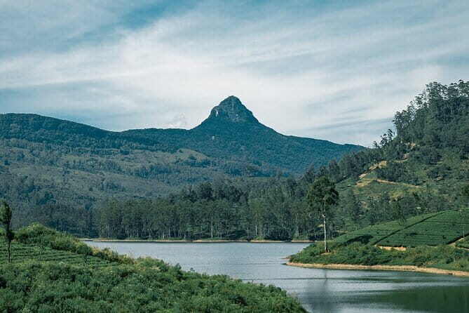 Airport Taxi Transfers from Colombo Airport to Adams Peak - Why Choose a Private Airport Transfer to Adams Peak?