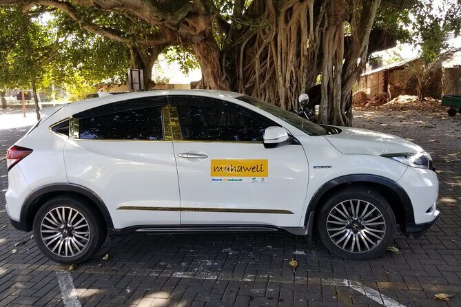 Airport to Kandy Drop - Final Thoughts: Is This the Right Choice for You?