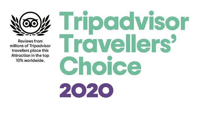 Airport Transfer - Final Thoughts: Is This Transfer Right for You?