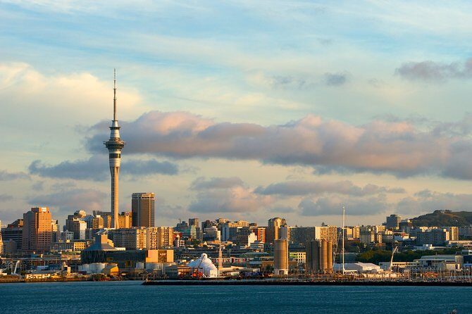 Airport Transfer: Auckland Airport AKL to Auckland by Sedan Car - Why This Transfer Outshines the Competition
