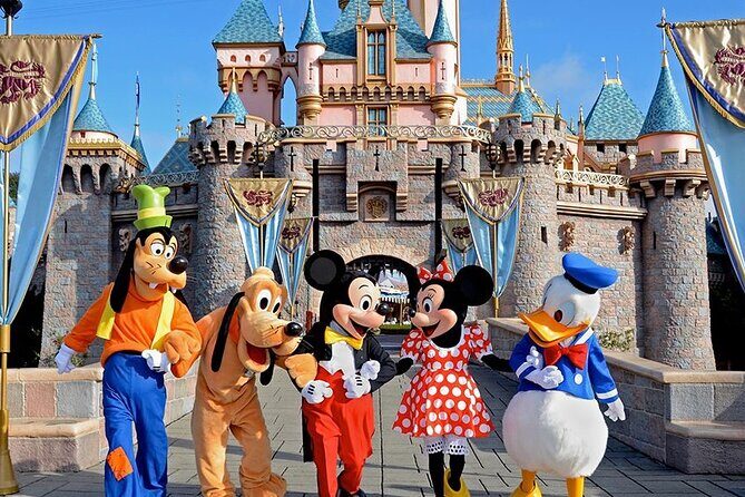 Airport Transfer between Narita and Tokyo or Disney or Yokohama - Key Points