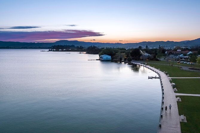 Airport Transfer From Auckland Airport To Auckland City - Why This Transfer Works for Travelers