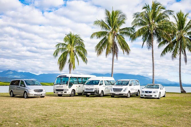 Airport Transfers between Cairns Airport and Cairns City - The Experience: What to Expect