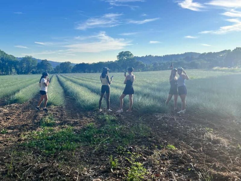 Aix-en-Provence: E-Bike Tour of Mount Sainte-Victoire - Who Is This Tour Best For?