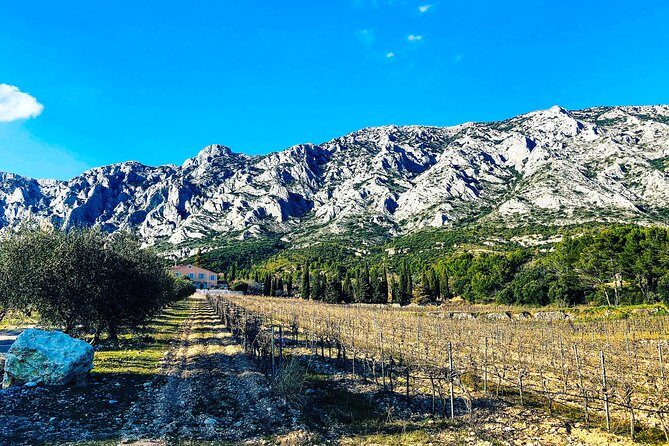 Aix-en-Provence - Mt Sainte Victoire wines in search of Cézanne - An In-Depth Look at the Experience