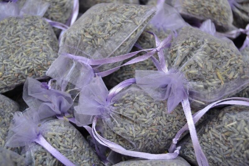 Aix-en-Provence: Private Walking Tour - FAQ