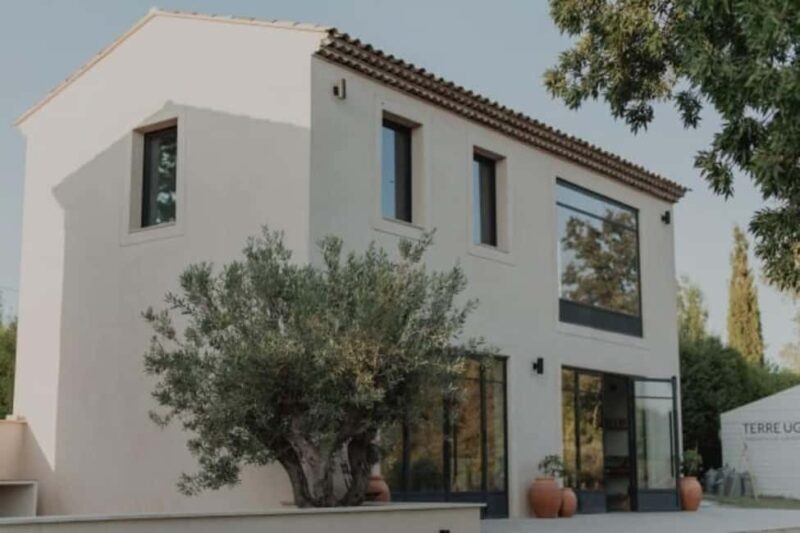 Aix-en-Provence: Visit a Lavender Field + Snacking at TERRE UGO - Key Points