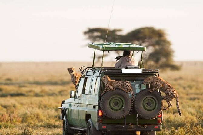 Akagera Safari Ride Share 1 Day Adventure - Key Points