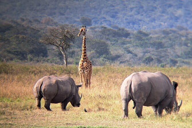 Akagera Safari Ride Share 1 Day Adventure - What to Expect from the Akagera Safari Ride Share