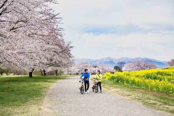 Akagi Great countryside e-bike tour - The Sum Up