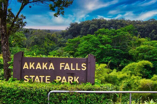 Akaka Falls Tour - Volcanoes National Park and Hilo Discovery - Akaka Falls State Park: A Towering Natural Wonder