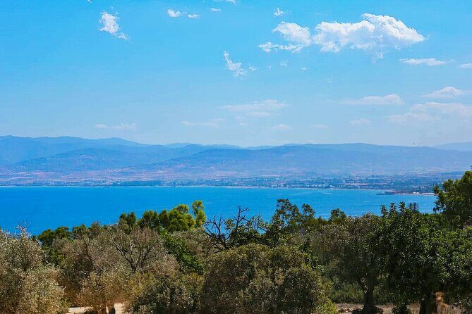 Akamas, Baths of Aphrodite and Blue Lagoon Day Tour from Paphos - Who Is This Tour Best Suited For?