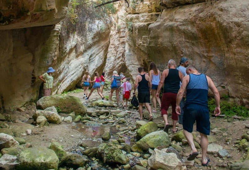 Akamas Jeep Safari Tour from Paphos - Authentic Experiences and Honest Feedback