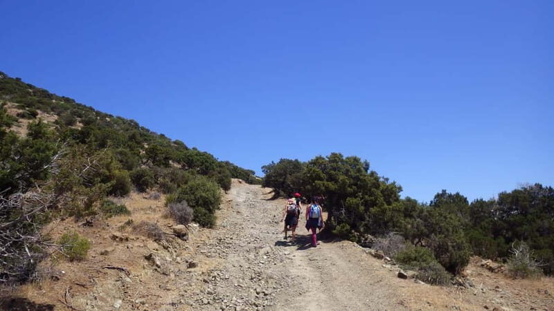 Akamas Panorama Walk (usually Adonis&Aphrodite combo) - Exploring the Akamas Panorama Walk: A Journey Through Aphrodite’s Playground