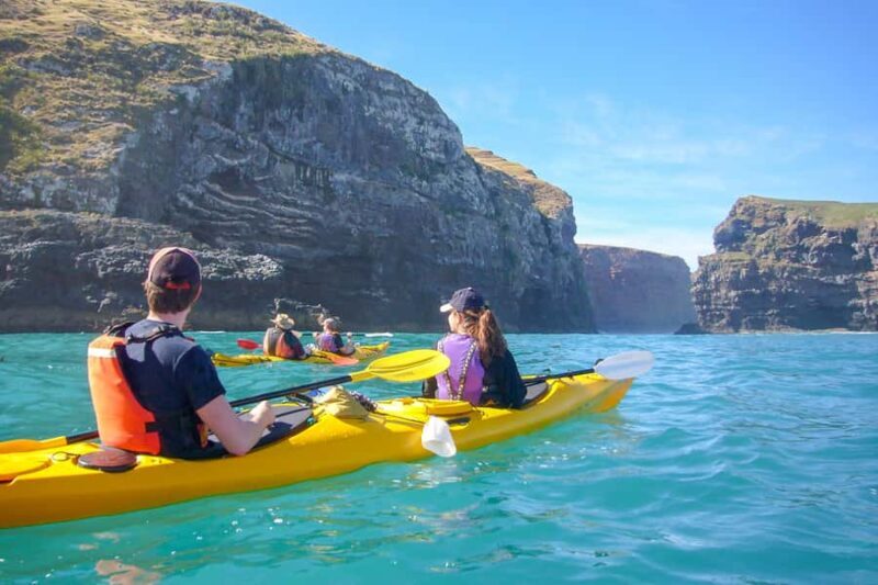 Akaroa: 4WD Safari and Guided Sea-Kayaking Experience - Who Will Love This Experience?