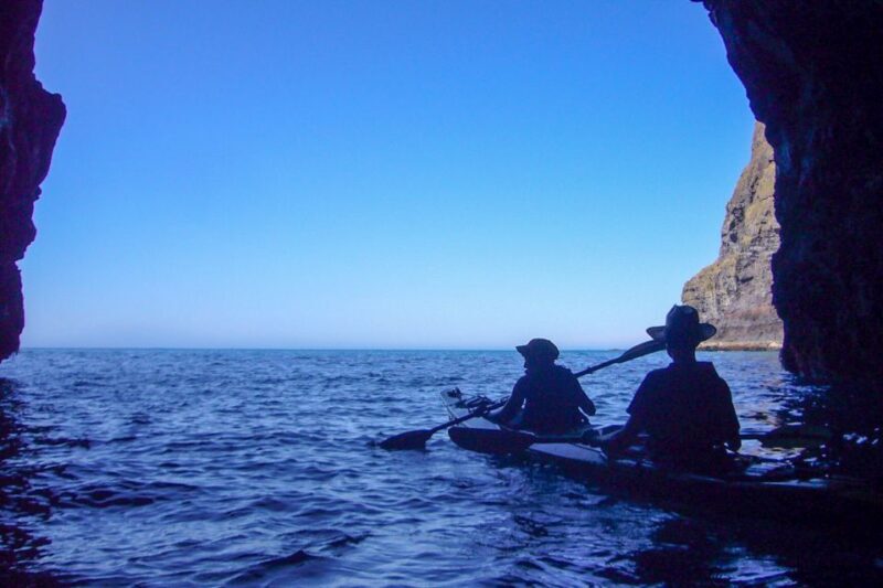 Akaroa: 4WD Safari and Guided Sea-Kayaking Experience - Final Thoughts: The Perfect Mix of Nature and Adventure