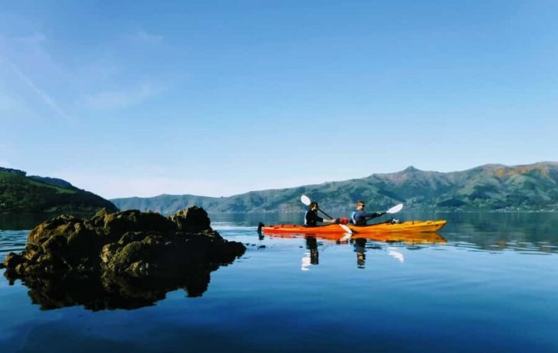 Akaroa: Akaroa Marine Reserve Sea Kayaking Tour - A Closer Look at the Experience