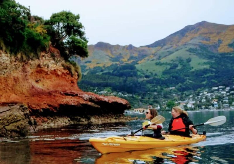 Akaroa: Akaroa Marine Reserve Sea Kayaking Tour - Practical Details and What to Expect