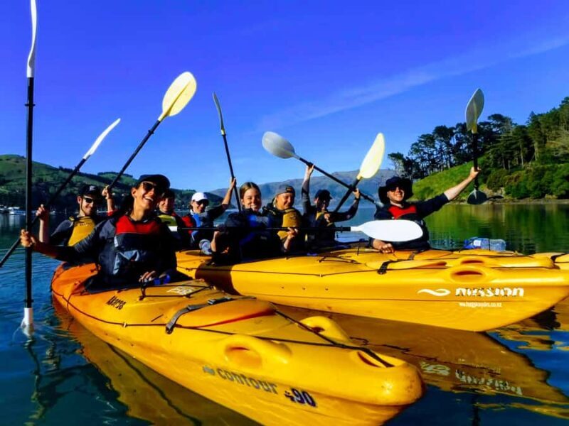 Akaroa: Akaroa Marine Reserve Sea Kayaking Tour - The Sum Up