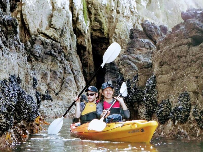 Akaroa: Akaroa Marine Reserve Sea Kayaking Tour - FAQ