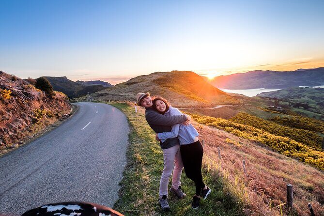 Akaroa and Banks Peninsula From Christchurch (Private Tour) - Analyzing the Value and Experience